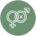 icon6